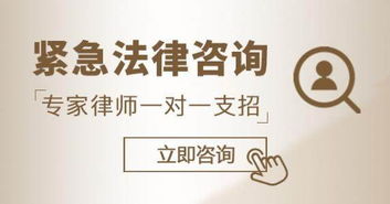 圖析普陀區(qū)長風(fēng)新村街道公司資產(chǎn)管理 為何需要專業(yè)律師咨詢與上海法律支持